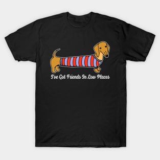 Wiener Whimsies Dachshund Dreams I've Got Friends In Low Places T-Shirt